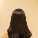 제와이붙임머리