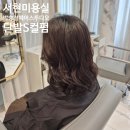 서현 미용실 단발 S컬펌 시세이도 살롱솔루션 케어 후기 by 려원 실장님
