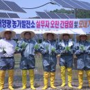 남동태양광발전소 이미지