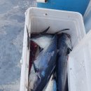 낚시천국 이미지