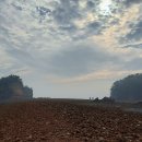 장고도3 이미지