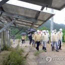 산지태양광발전소 이미지