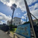 제주마중in판포 | [제주]판포포구 앞 오션뷰 가족 독채 펜션, 제주 마중 in 판포