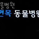 면목동물병원 이미지