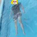 씨레스트 투