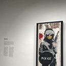 모코(MOCO) 이미지