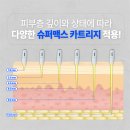 엘에스테틱 이미지