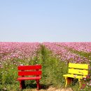 정수 팜랜드 이미지