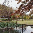 구갈레스피아 게이트볼장 이미지