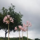 영월여인숙 이미지