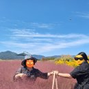 성건농장 | 꽃차 한 잔을 내어 줄게요 (10/2~10/8)
