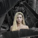 플로레스타 이미지
