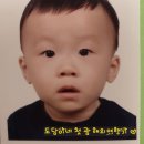 도담여행사 이미지