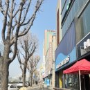 선진정형외과의원 이미지