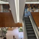 레인보우로드 | 주차(발렛), 2만원짜리 스무디 레인보우 파라다이스, 블루베리 러쉬 후기, 근데 쿠키는 서비스로 주심 후기