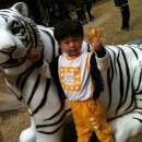 봉학농장 이미지