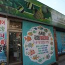 베스트피쉬 수족관 이미지