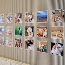 안녕아가 이미지