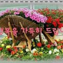 선재농장 이미지