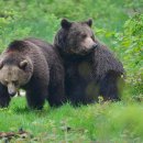 용인농장 이미지