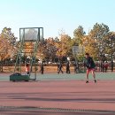 옥구공원 농구장