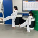 태권한류