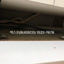 벅스코 이미지
