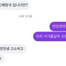 우진세탁소 | [연캉스22] 8월 여름 제주도 동쪽 부모님과 가기 좋은 3박4일 일정