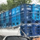 상학목장 이미지