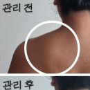 홍보성 - 수원시 영통구 매탄로160번길 40 | 홍보성