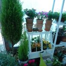 꽃향기정원 이미지