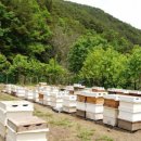 새둥지마을영농조합법인 이미지