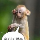 피싱스토리 | 넷플릭스 다큐 추천 - 의문의 발신자:고등학교 캣피싱 사건 | 리얼 후기 &amp; 개인적인 해석