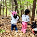 숲쟁이로L 이미지