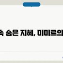 미미르 - 동구 동호로5길 5 | 미미르