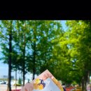 카페드피나클