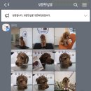 보듬펫살롱 이미지