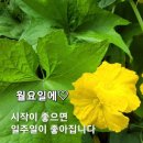 6월 17일 (월) ^^^토끼사랑방^^^ 이미지