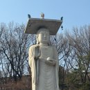 명상길 | 서울 강남 가볼만한 곳 절 봉은사 홍매화 개화기간 명상길 산책코스 주차 방문 솔직후기