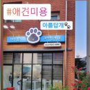 가장아름답개 네이버블로그
