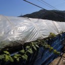 녹수농장 이미지