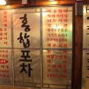 오포차 이미지
