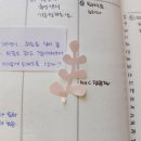 마켓곰지