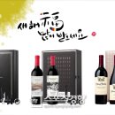 금양인터내셔날롯데