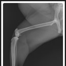 조치원메디컬센터 이미지