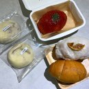 수목원카페 - 당진시 | 오산 소금빵 맛집 카페 숲 물향기수목원 베이커리 카페 후기