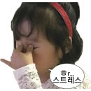 스트롱파이트짐 | [240611,14,15] 주짓수 225,26,27회(6월 승급식, 피로 그리고 무릎부상)