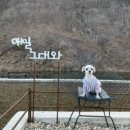 개버랜드