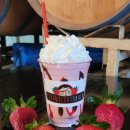 칼즈배드 | 칼스베드 Wildland 브런치 후기｜LA 안 가도 충분했던 Carlsbad 반나절 코스