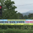 농기계임대사업소 산서분소 | 청도군 풍각면 송서리 315번지 일대 유채정원 무료개방합니다!